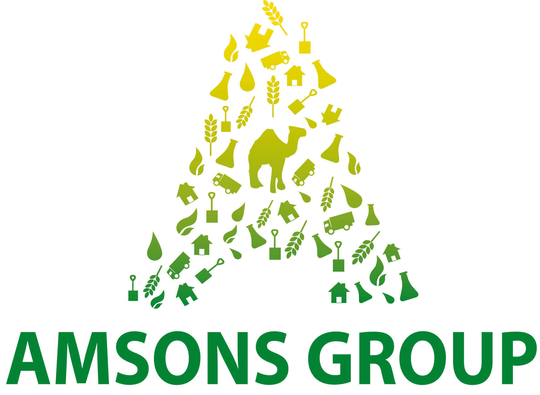 Amsons Group